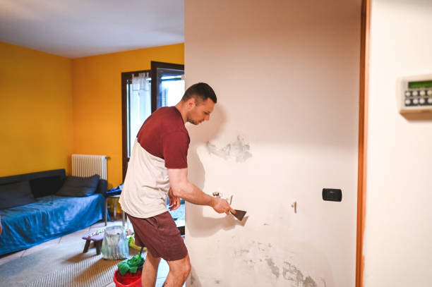 Best Local Mold Removal Service  in Landen, OH