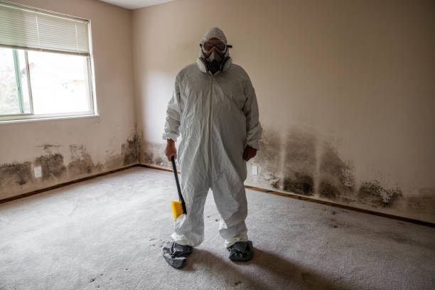 Attic Mold Removal in Landen, OH